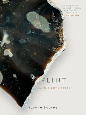 cover image of Flint